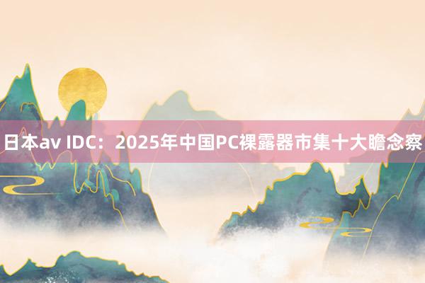 日本av IDC：2025年中国PC裸露器市集十大瞻念察