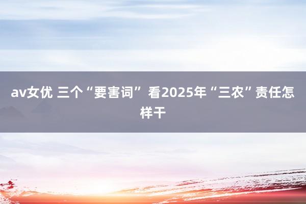 av女优 三个“要害词” 看2025年“三农”责任怎样干