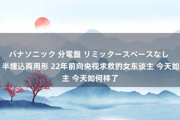 パナソニック 分電盤 リミッタースペースなし 露出・半埋込両用形 22年前向央视求救的女东谈主 今天如何样了