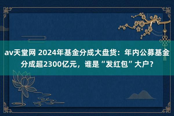 av天堂网 2024年基金分成大盘货：年内公募基金分成超2300亿元，谁是“发红包”大户？