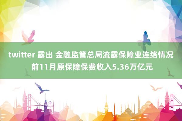 twitter 露出 金融监管总局流露保障业连络情况 前11月原保障保费收入5.36万亿元