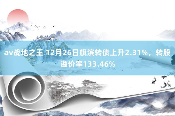 av战地之王 12月26日旗滨转债上升2.31%，转股溢价率133.46%