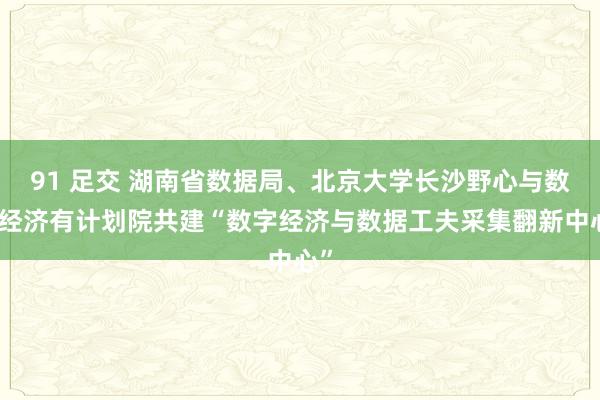 91 足交 湖南省数据局、北京大学长沙野心与数字经济有计划院共建“数字经济与数据工夫采集翻新中心”