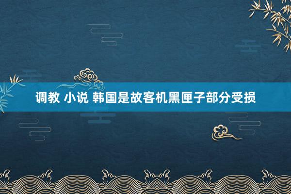 调教 小说 韩国是故客机黑匣子部分受损