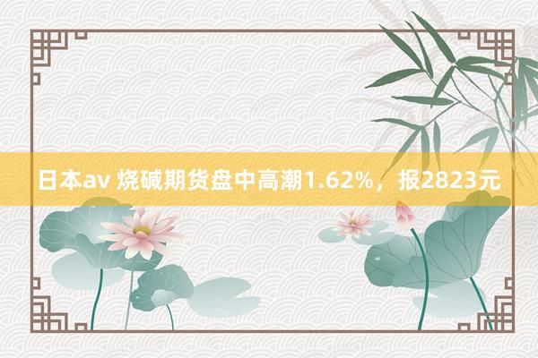 日本av 烧碱期货盘中高潮1.62%，报2823元