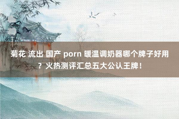 菊花 流出 国产 porn 暖温调奶器哪个牌子好用？火热测评汇总五大公认王牌！