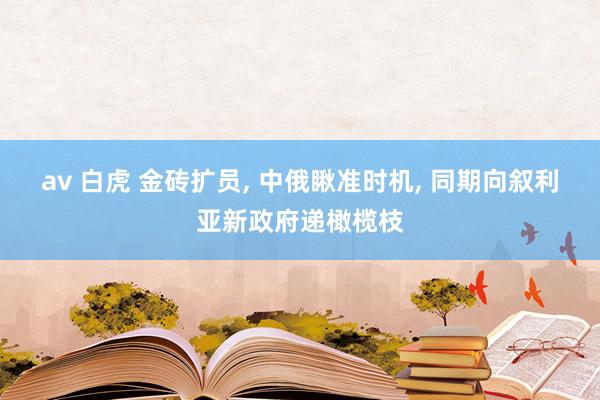 av 白虎 金砖扩员, 中俄瞅准时机, 同期向叙利亚新政府递橄榄枝