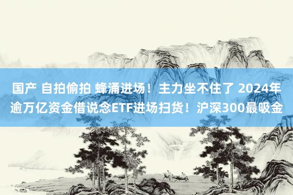 国产 自拍偷拍 蜂涌进场！主力坐不住了 2024年逾万亿资金借说念ETF进场扫货！沪深300最吸金