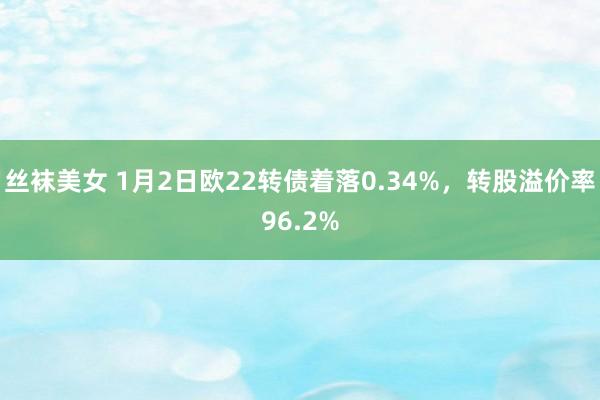 丝袜美女 1月2日欧22转债着落0.34%，转股溢价率96.2%