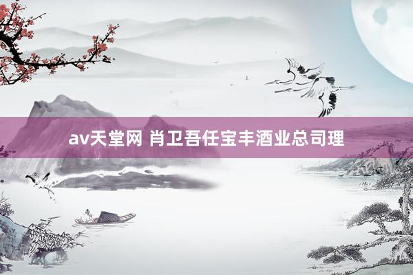 av天堂网 肖卫吾任宝丰酒业总司理