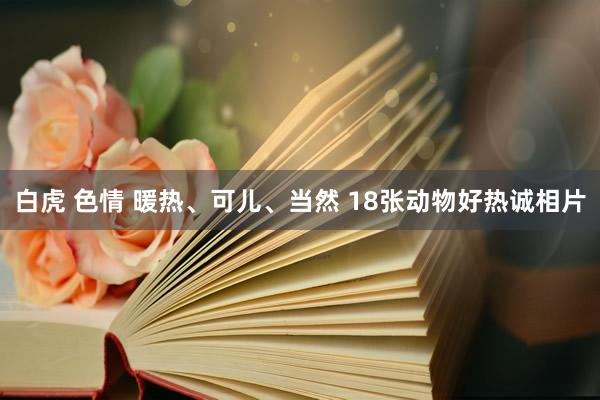 白虎 色情 暖热、可儿、当然 18张动物好热诚相片