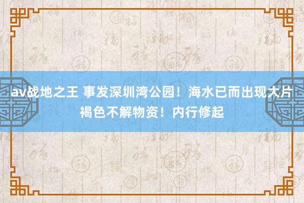 av战地之王 事发深圳湾公园！海水已而出现大片褐色不解物资！内行修起