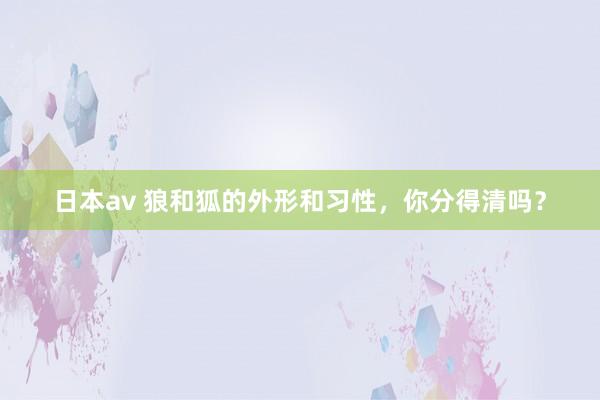 日本av 狼和狐的外形和习性，你分得清吗？