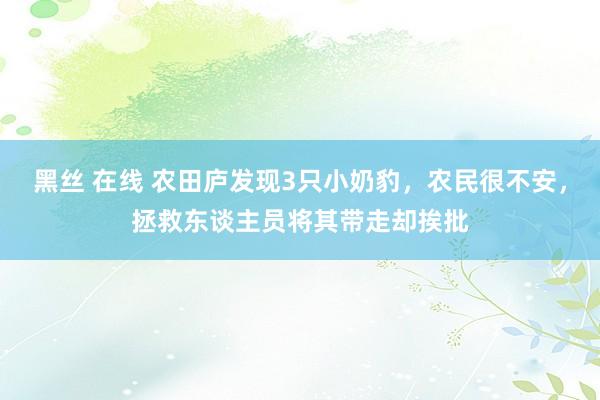 黑丝 在线 农田庐发现3只小奶豹，农民很不安，拯救东谈主员将其带走却挨批