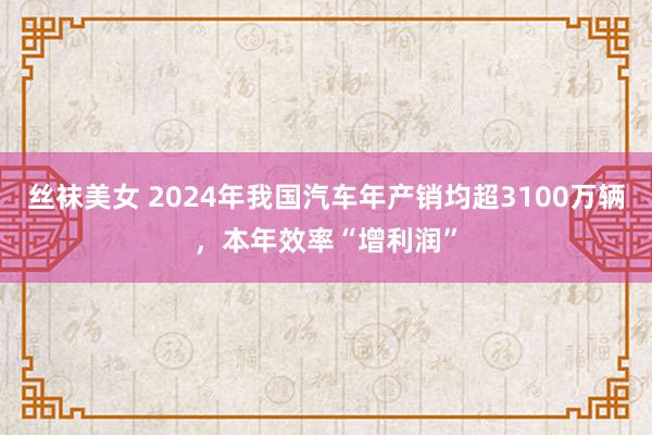 丝袜美女 2024年我国汽车年产销均超3100万辆，本年效率“增利润”